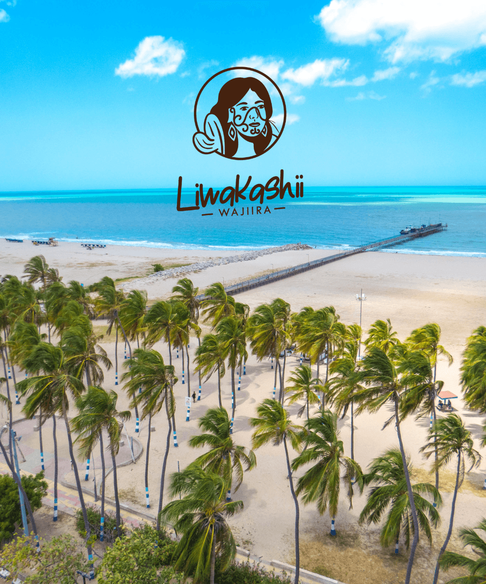 Liwakashii Wajiira — artesanías Wayuu de La Guajira